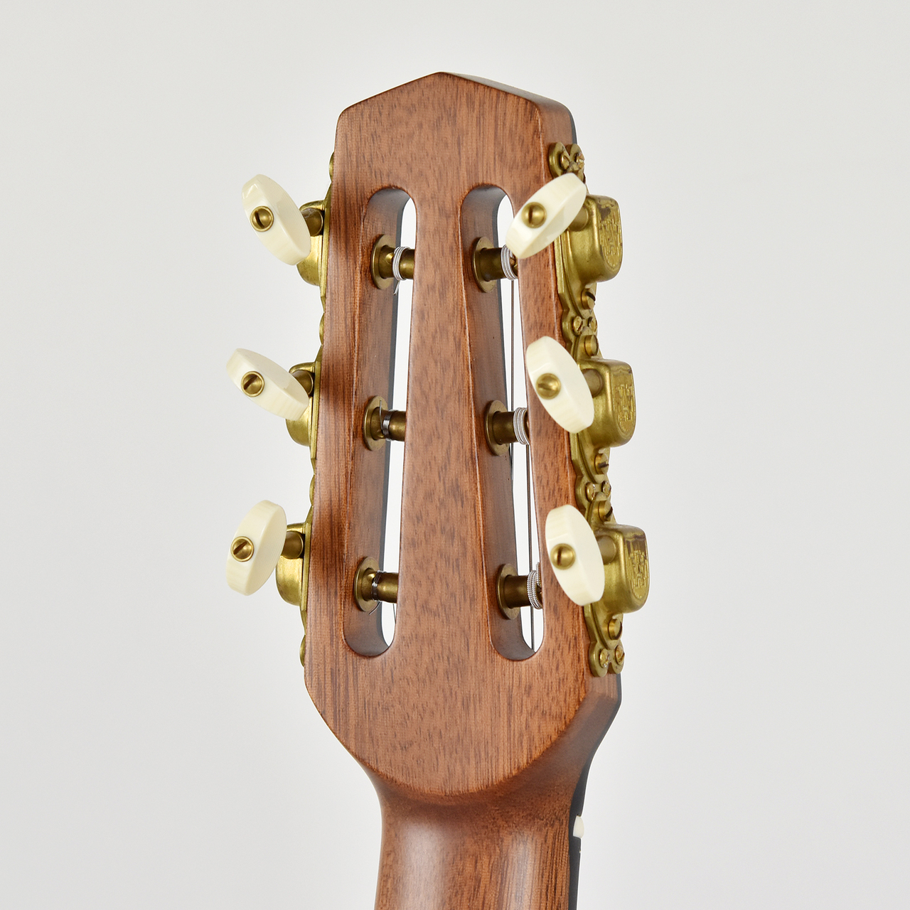 ARIA MM-100/F Antique（新品）【楽器検索デジマート】