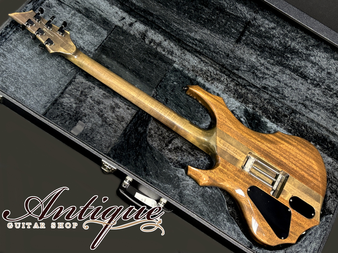 ESPエレキギター PIERROTアイジモデル(001)-560P 定価56万円 店頭販売品】ESP エレキギター [001]-560P PIERROT アイジモデル