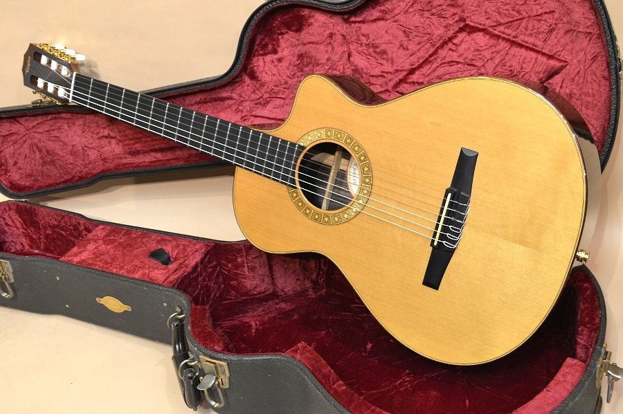 TAYLOR NS72-ce JPN LTD|ドルフィンギターズ