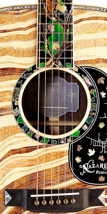 Martin 【世界30本限定】D-300 ハカランダ使用 【ASK価格・生産本数300