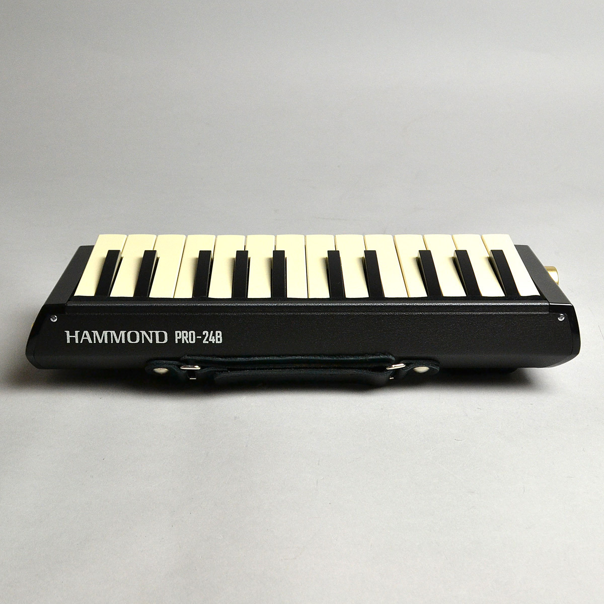 Hammond 【店頭展示品】PRO-24B 鍵盤ハーモニカ（新品）【楽器検索