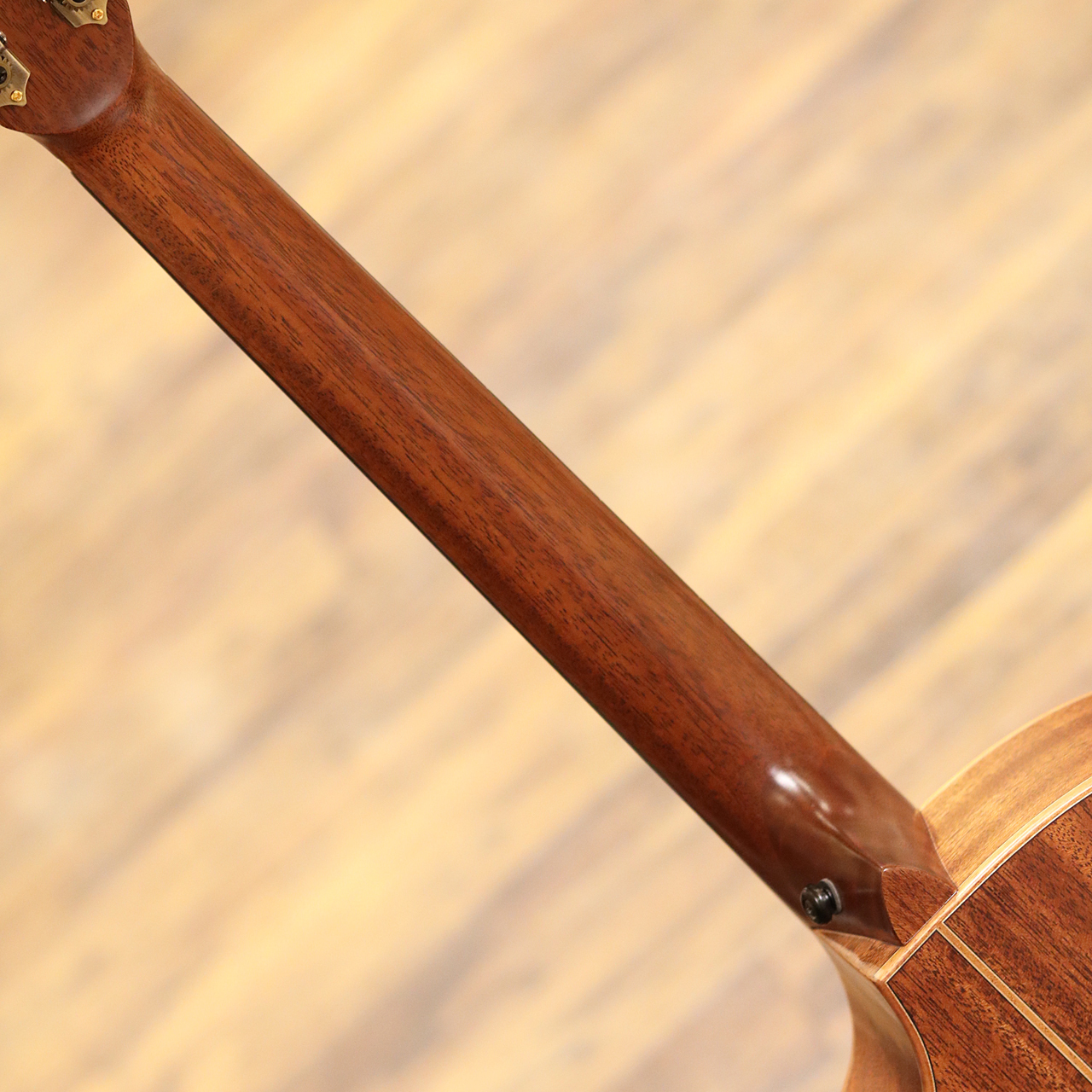 L.Luthier Bayou(新品)【楽器検索デジマート】 L.Luthier Bayou(新品)【楽器検索デジマート】