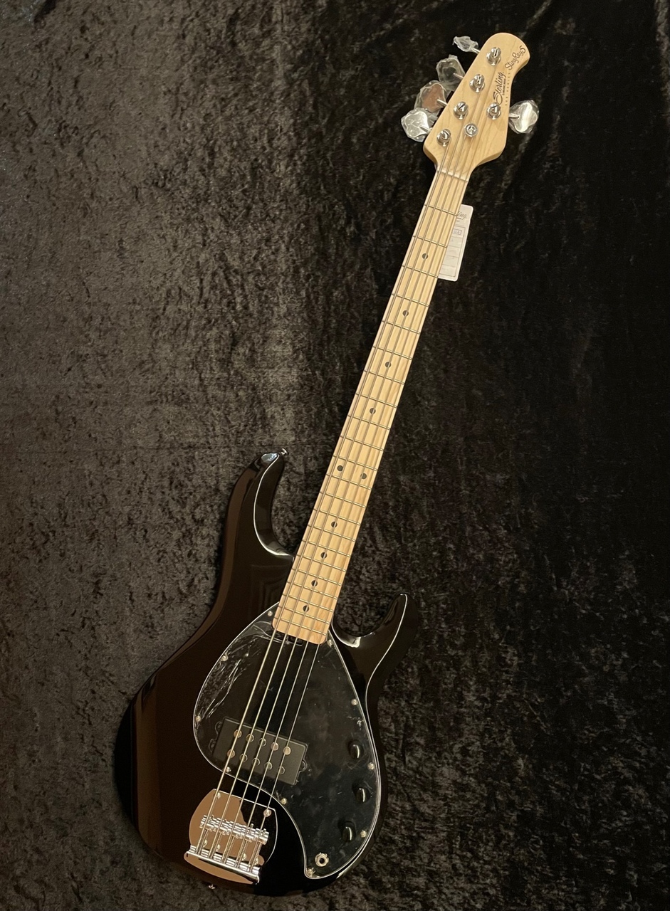 Sterling by MUSIC MAN S.U.B StingRay5（新品/送料無料）【楽器検索