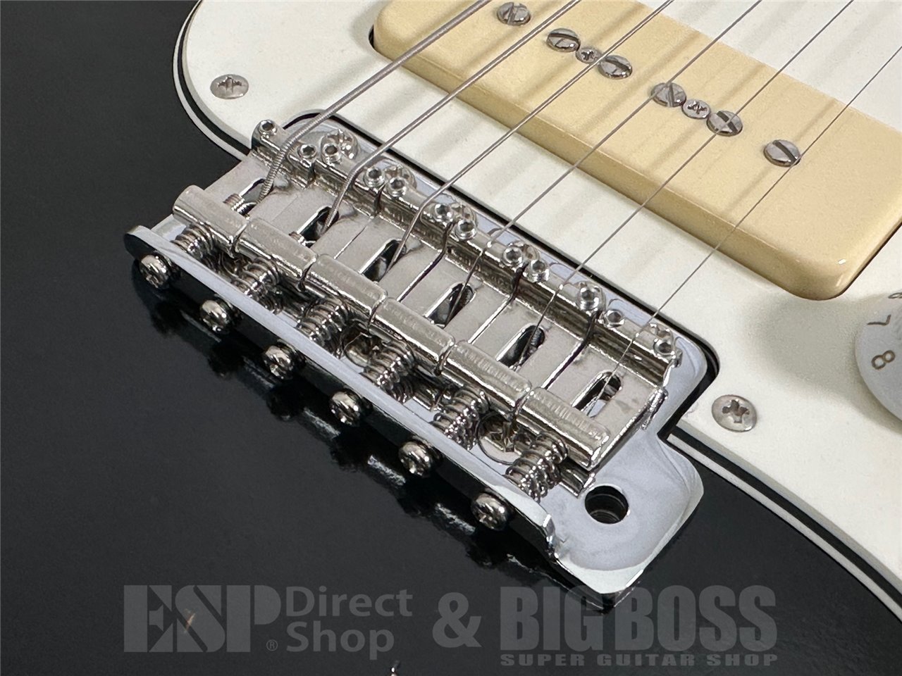 EDWARDS E-SE-S.K.I.N. (Distressed Black)（新品/送料無料