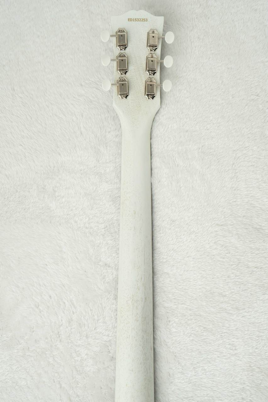 EDWARDS E-SG-JR-LTD -Antique White- #ED1532253 【数量限定生産