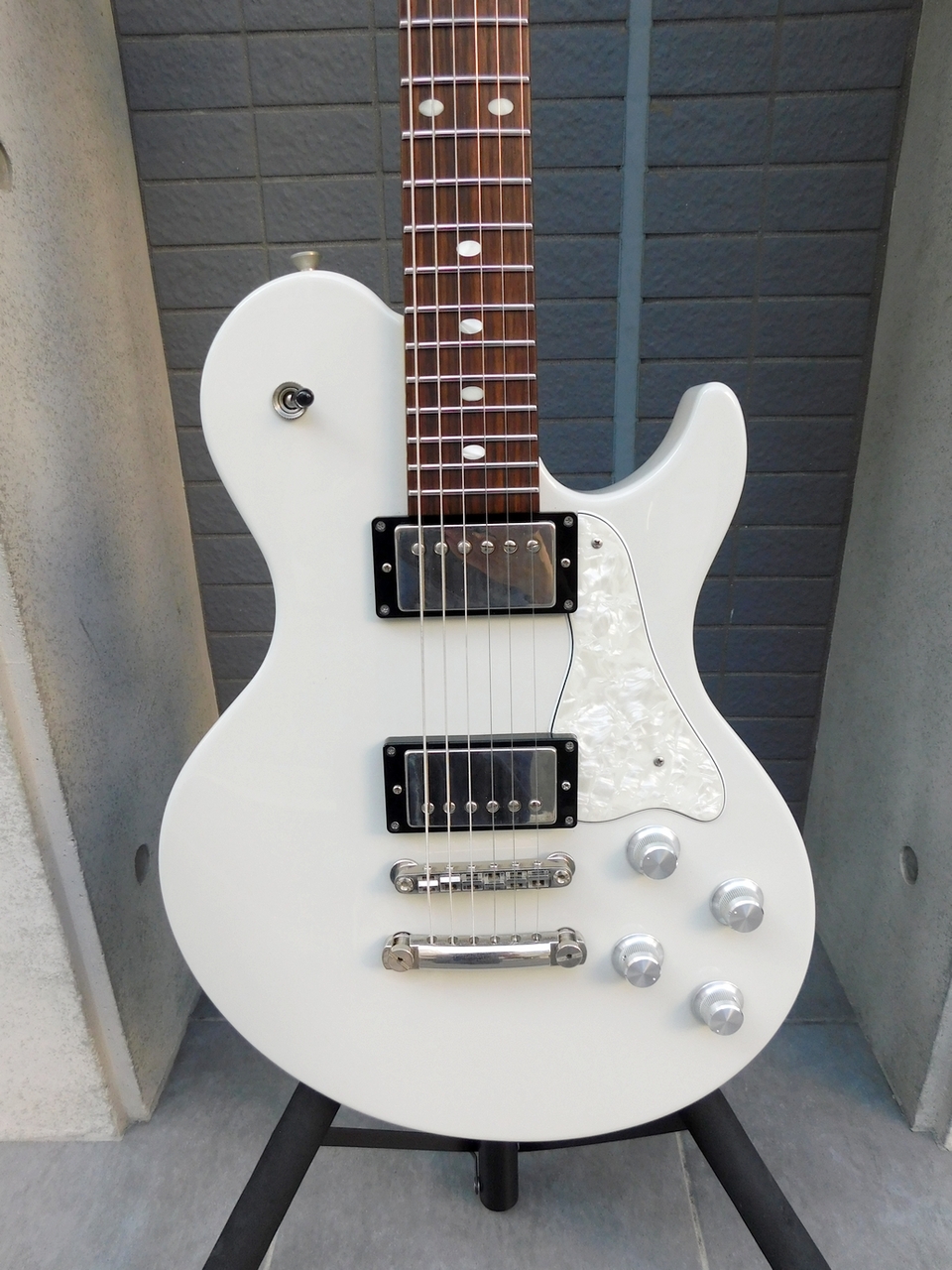 FREEDOM CUSTOM GUITAR RESEARCH RRS Bravery-12（中古）【楽器