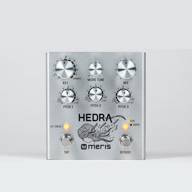 Hedra meris エフェクター