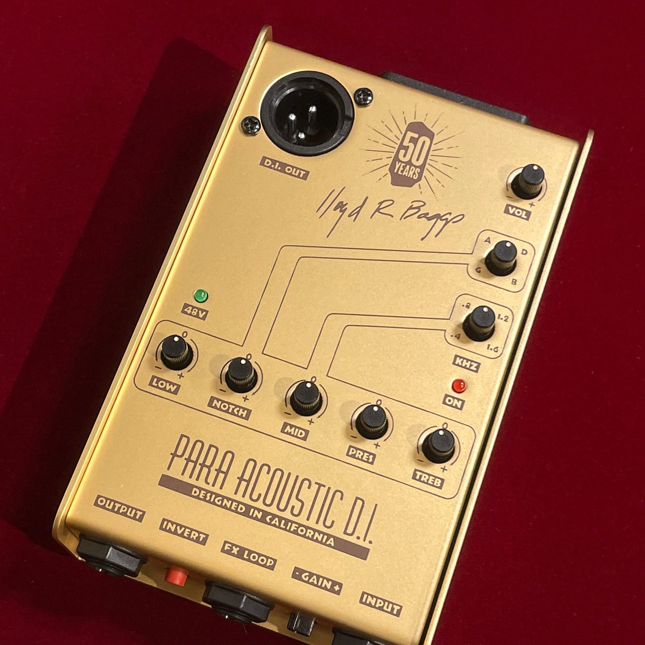 L.R.Baggs 50th Anniversary Gold Para DI 【国内300台限定】【LR