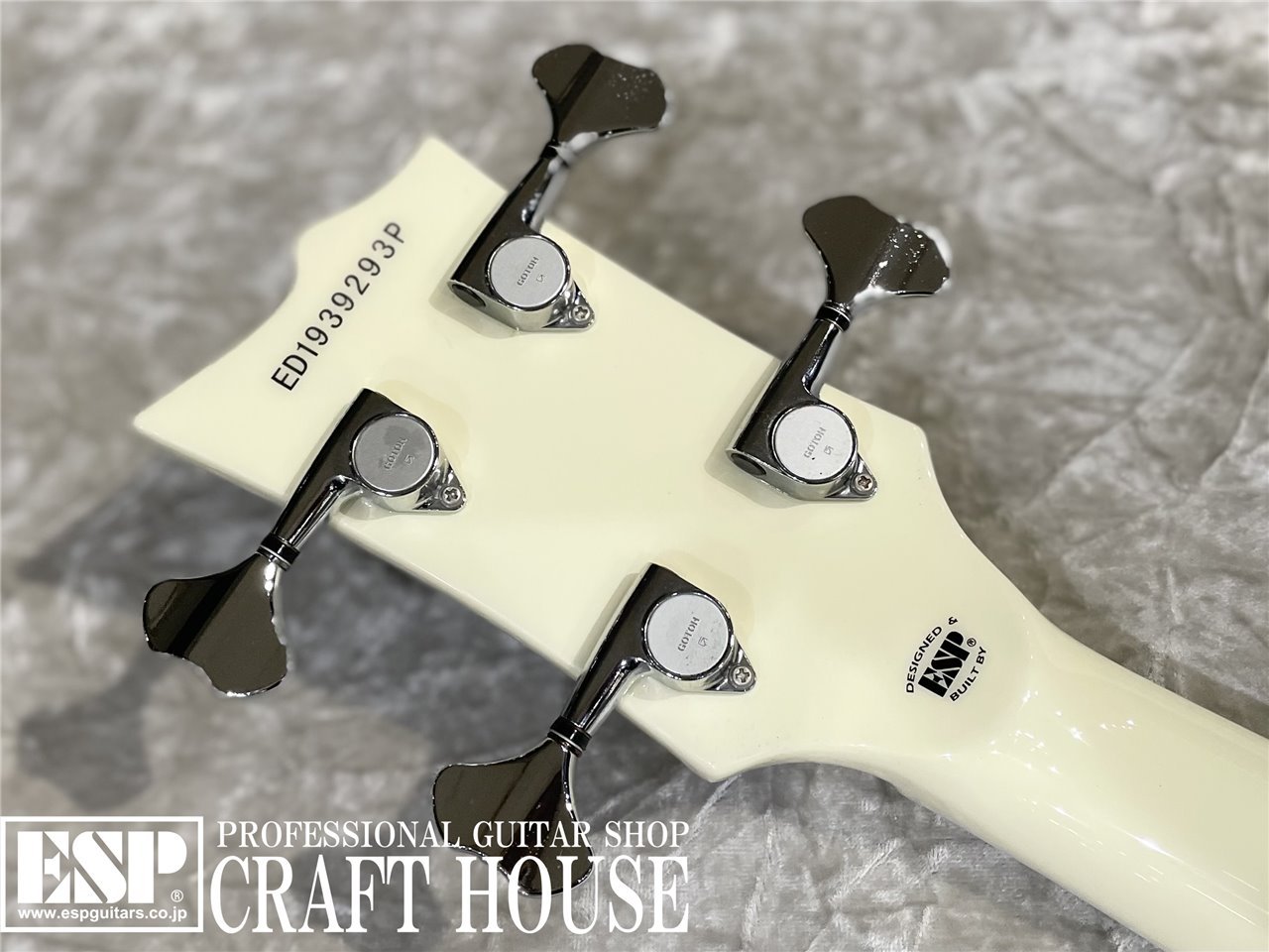 EDWARDS E-Lynn WHITE（新品/送料無料）【楽器検索デジマート】