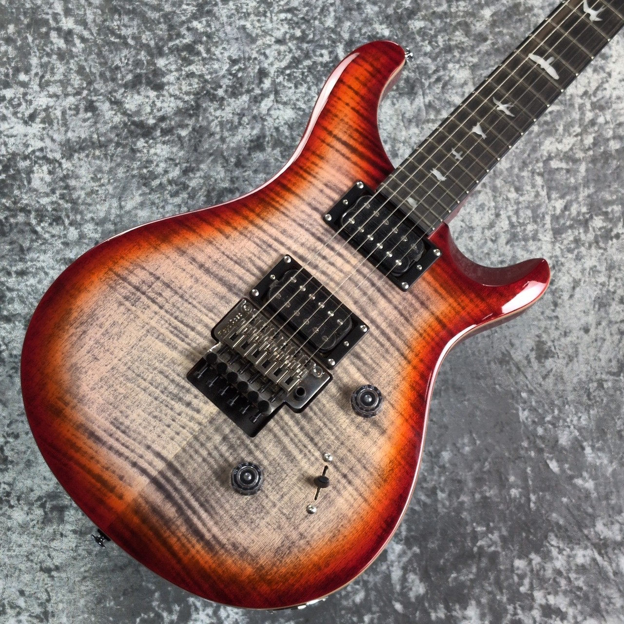 Paul Reed Smith(PRS) SE CUSTOM 24 