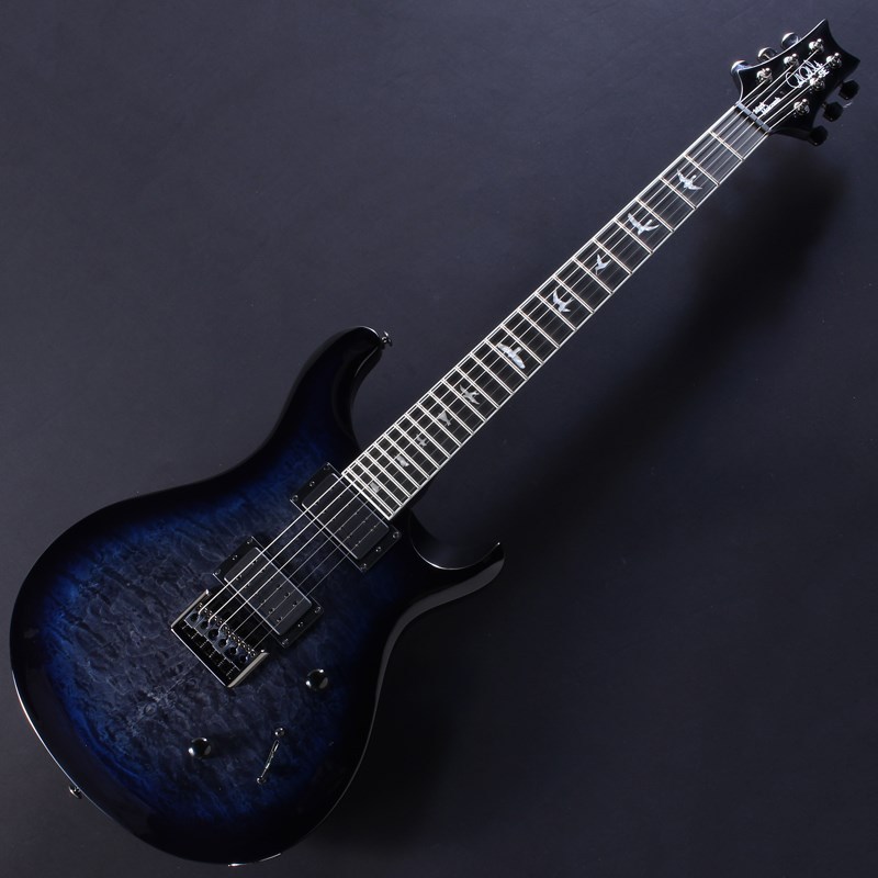 Paul Reed Smith(PRS) SE Mark Holcomb (Holcomb Blue Burst