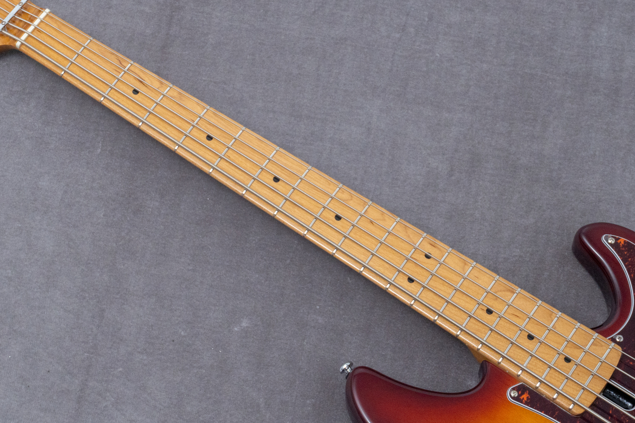 Sire P5 Alder-5 TS 4.25kg #2N25500185【GIB兵庫】（新品/送料無料