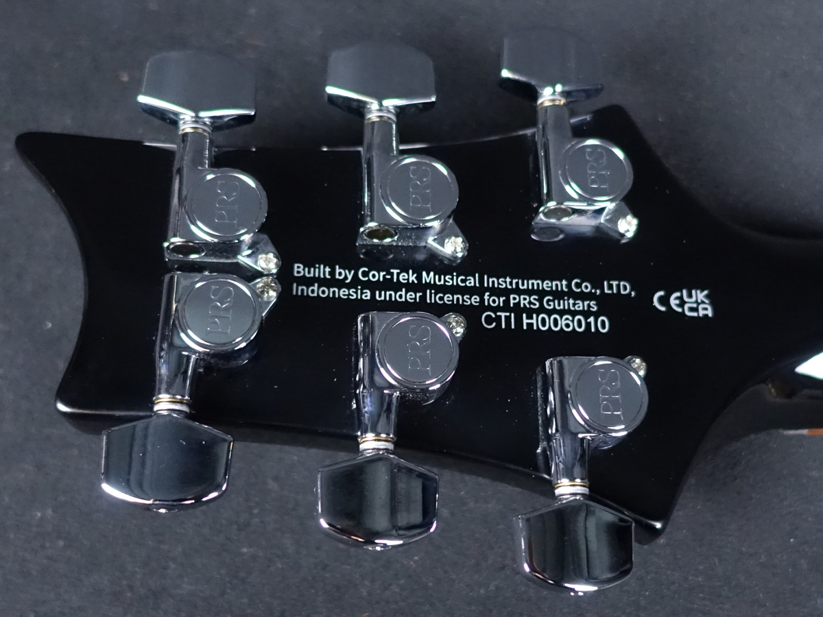 Paul Reed Smith(PRS) SE Custom 24 Quilt Amethyst 2025（新品