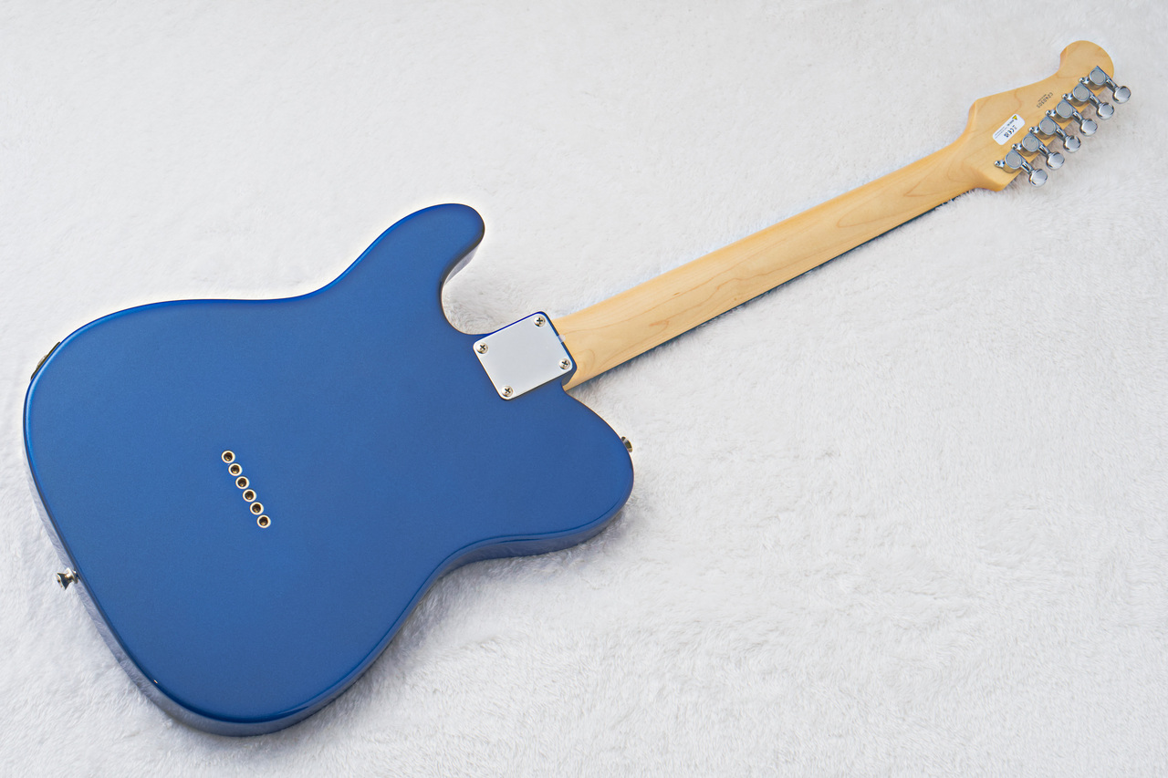 FUJIGEN(FGN) BCTE100RBD -Metallic Blue- MBL【3.52kg】【初心者