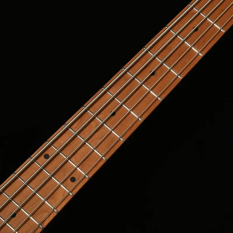 Bacchus WJB5-1DX-AC RSM/M CS チェリーサンバースト バッカス 5