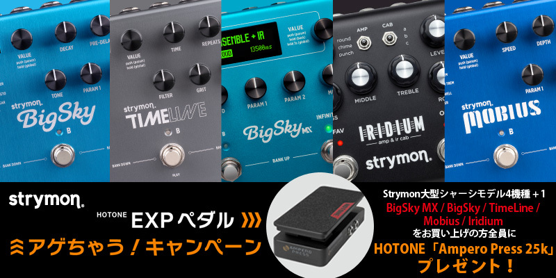 strymon Iridium AMP & IR CAB エミュレーター ストライモン