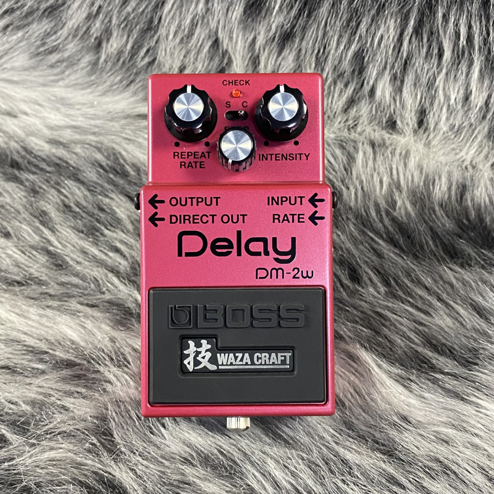 BOSS DM-2W Delay 技 WAZA CRAFT（新品）【楽器検索デジマート】