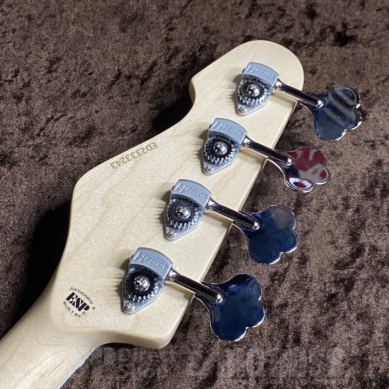 EDWARDS E-AMAZE-AS-4/M -Solid Black-（新品/送料無料）【楽器検索