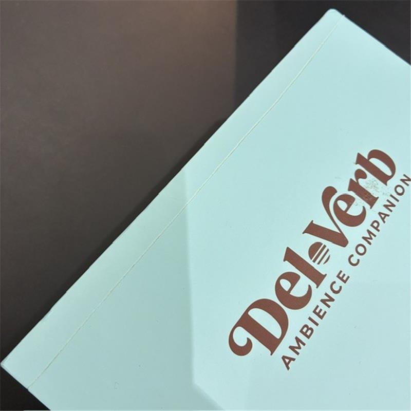 Universal Audio 【箱ダメージ特価品】 UAFX Del-Verb Ambience