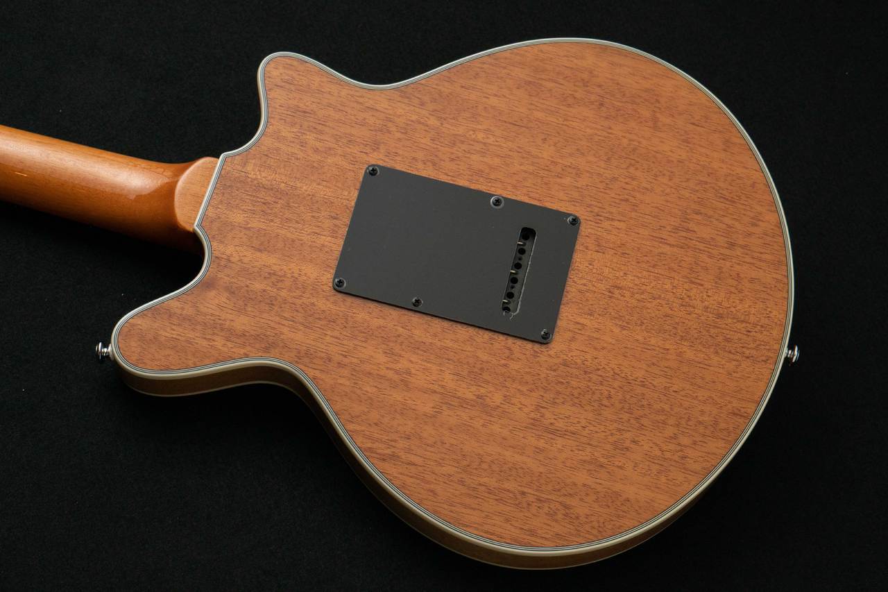 Brian May Guitars Brian May Special Left Hand 