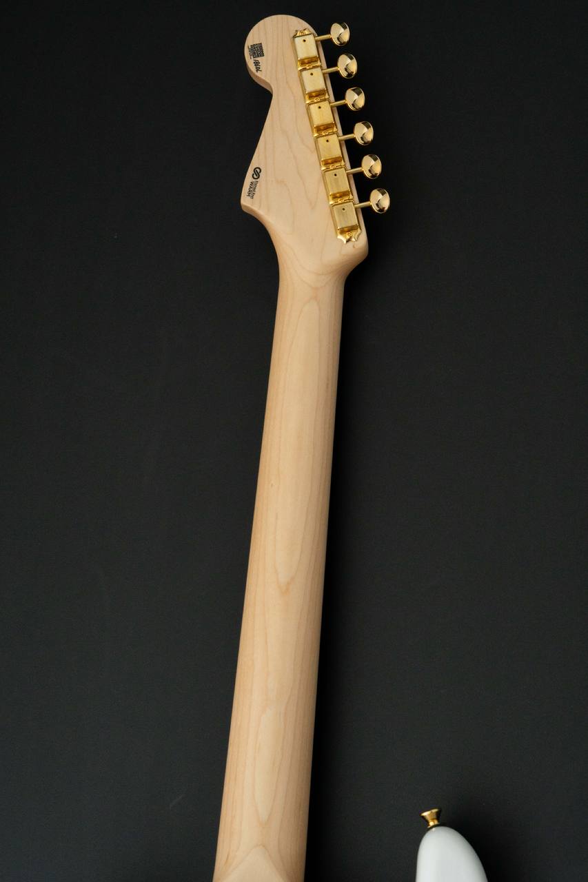 FREEDOM CUSTOM GUITAR RESEARCH Custom Order RS ST SSS L.W.