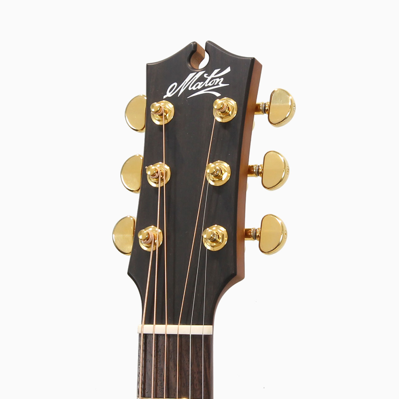 MATON EBG808PF LTD Orange Mouse（新品/送料無料）【楽器検索デジマート】