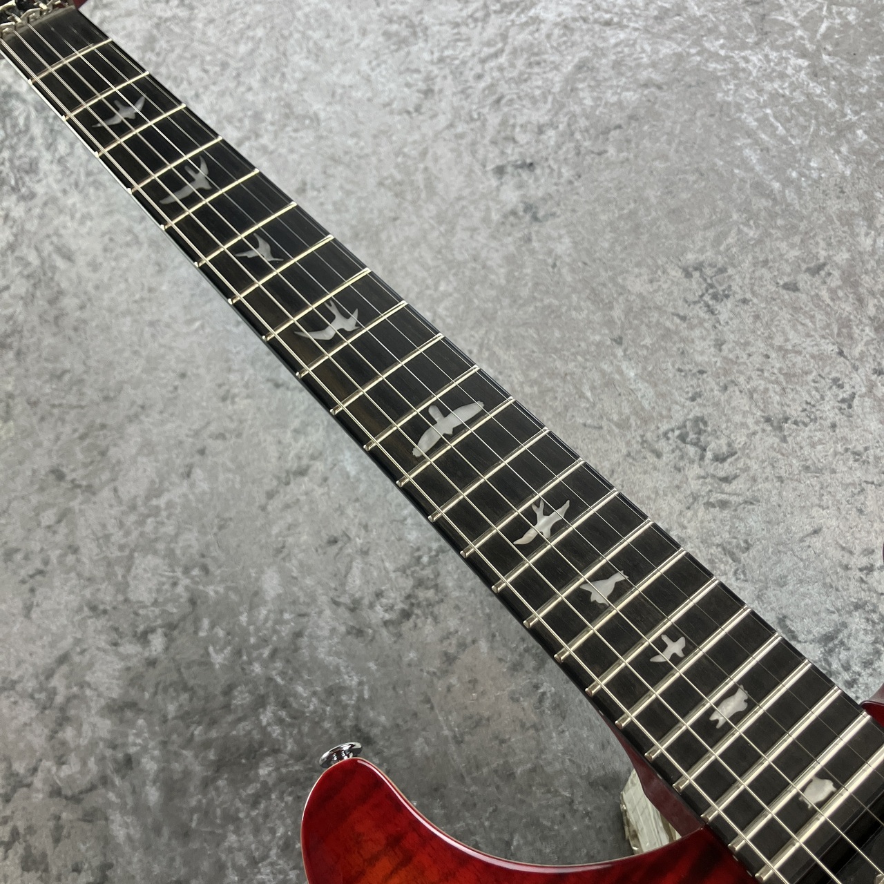 Paul Reed Smith(PRS) SE Custom 24 