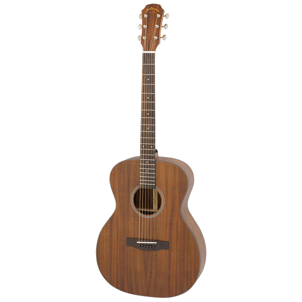 Aria アコースティックギター ARIA（楽器） Aria W-25 Acoustic Guitar アコースティック