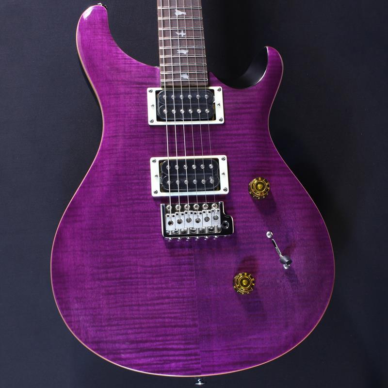 Paul Reed Smith(PRS) SE Custom 24 (Amethyst) #CTI G117146【2024