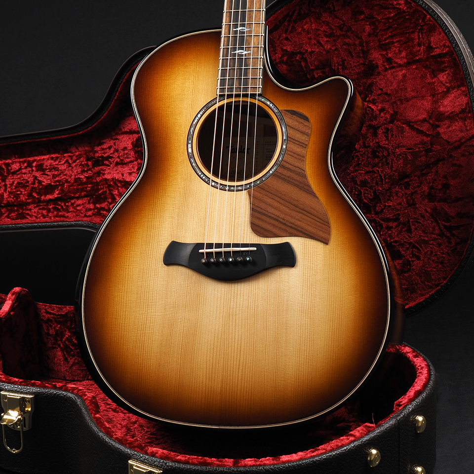Taylor Builder's Edition 814ce Honduran Rosewood / Adirondack