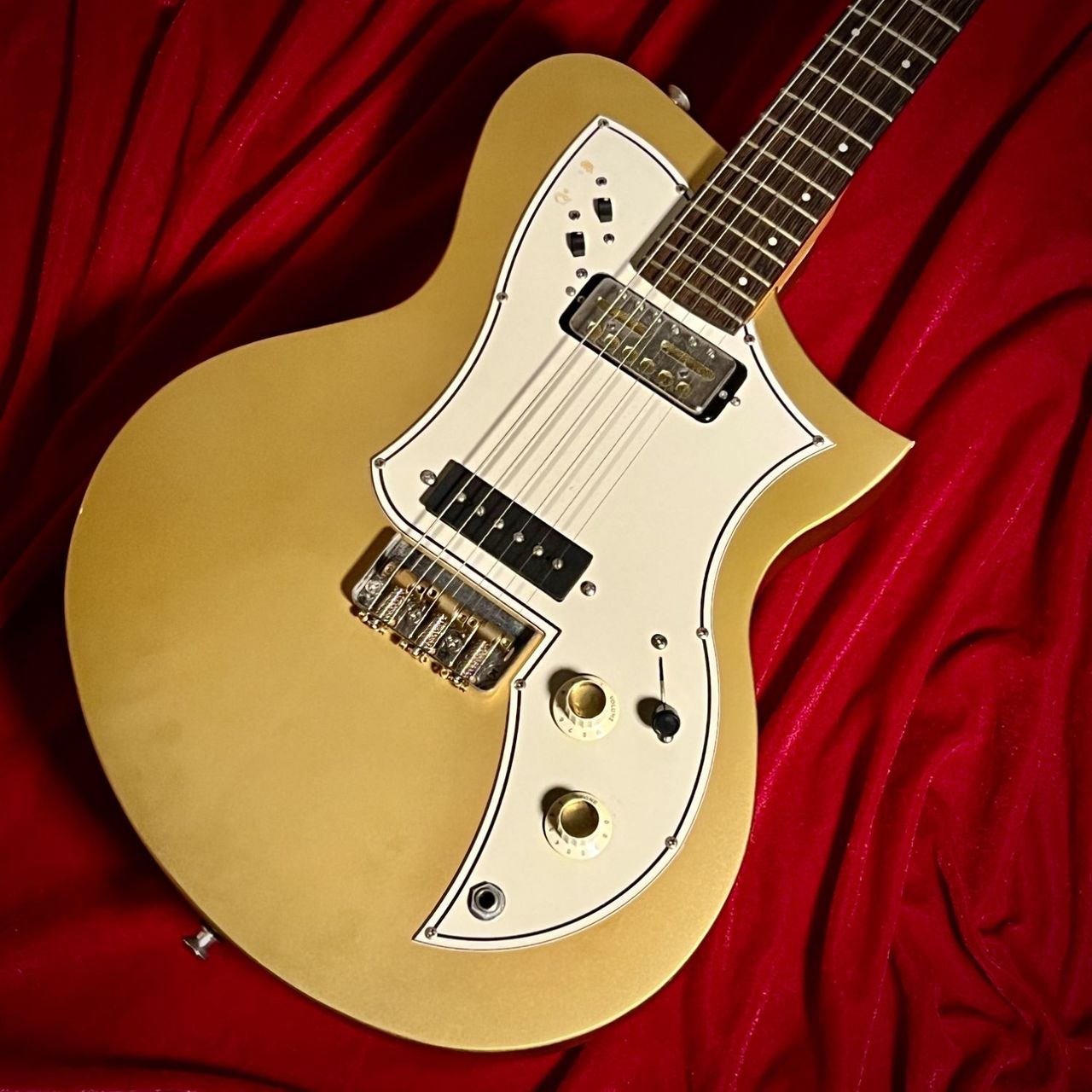 TITAN GUITARS KR-1STD USA ケース付 TITAN GUITARS KR-1STD USA