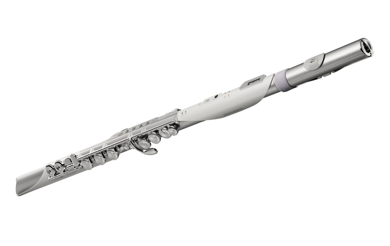 Roland 【ご予約受付中】Aerophone Brisa AE-BRISA