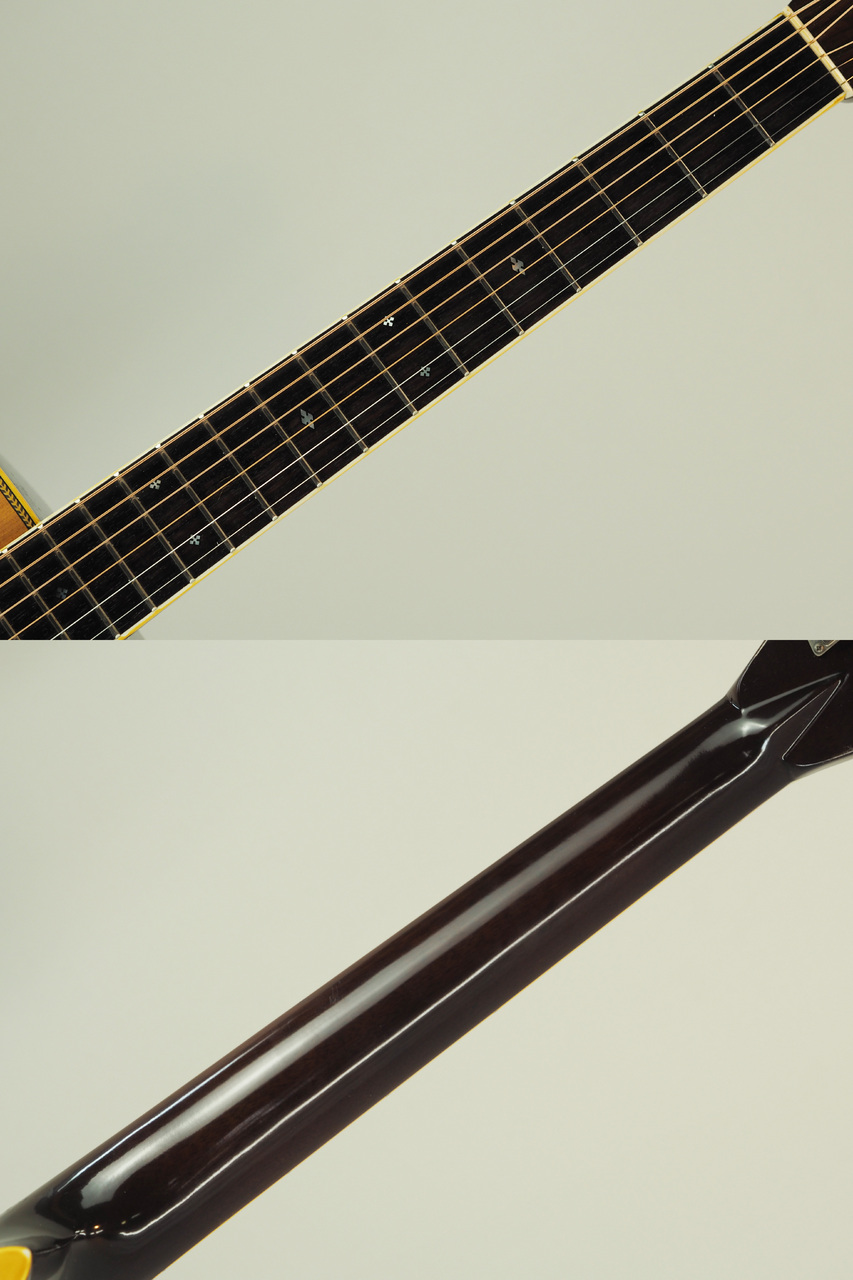 Morris Special 45H(管理番号4853)（中古）【楽器検索デジマート】