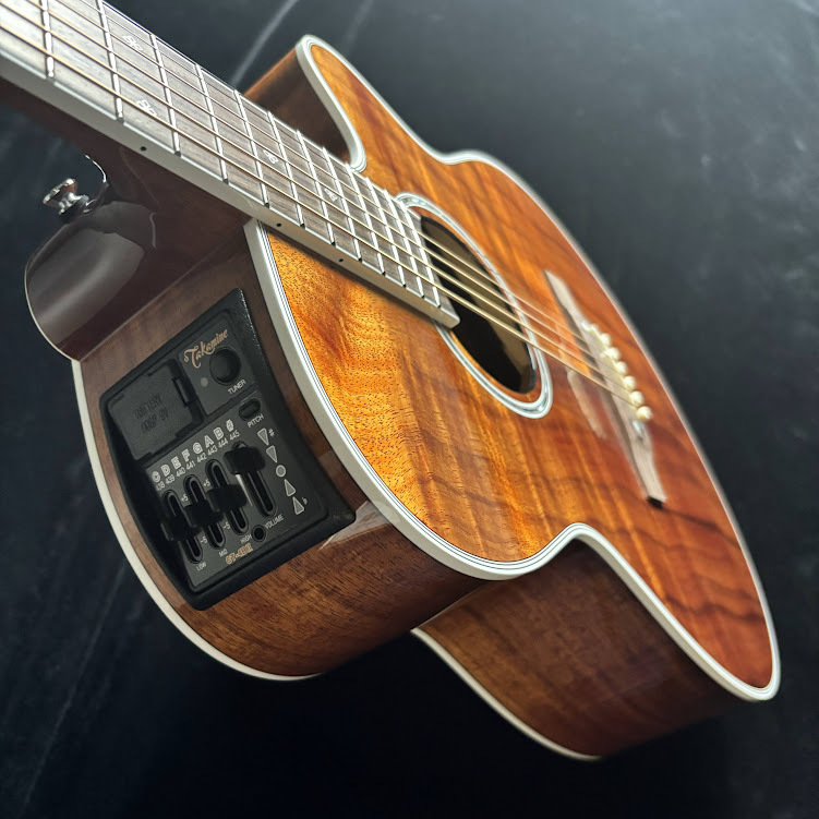 Takamine Takamine/タカミネ PTU131KC N エレアコギター 【100