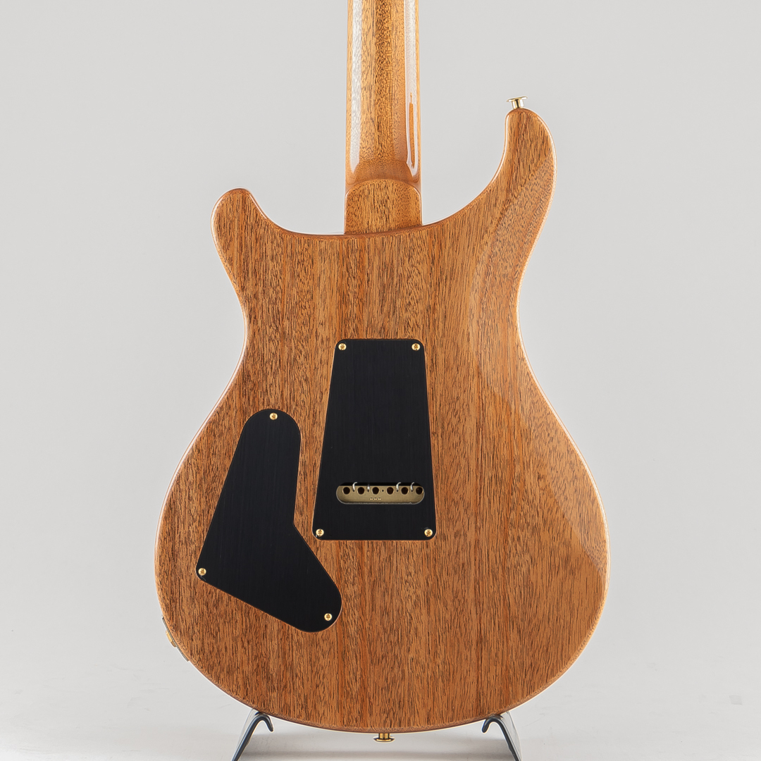 Paul Reed Smith(PRS) 40th Anniversary Custom 24-08 Semi