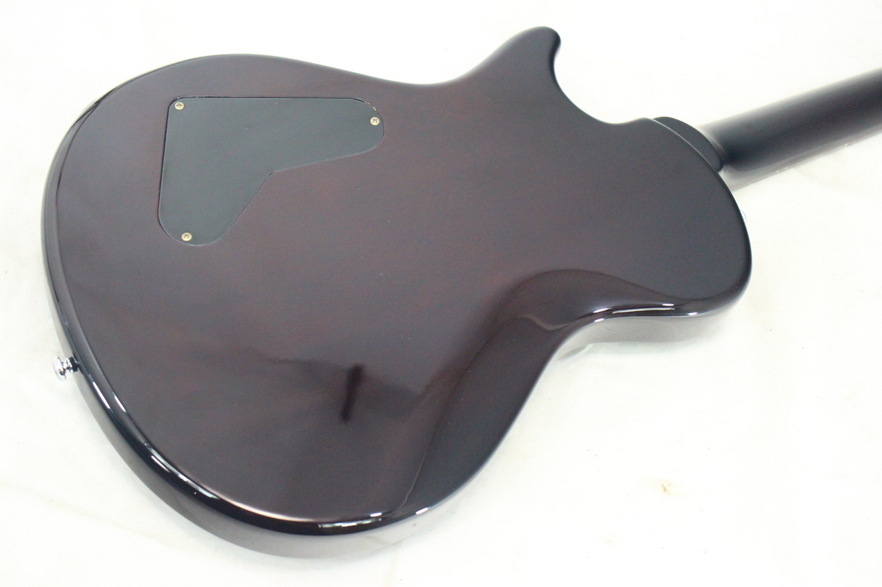 Paul Reed Smith(PRS) SE SOAPBAR（中古）【楽器検索デジマート】