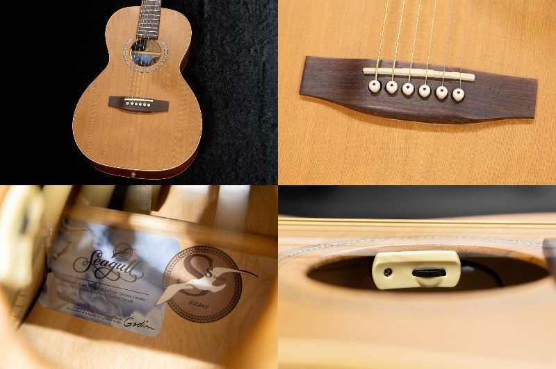 Seagull Coastline Grand L.R.Baggs Anthem SL PU Mod #05422296
