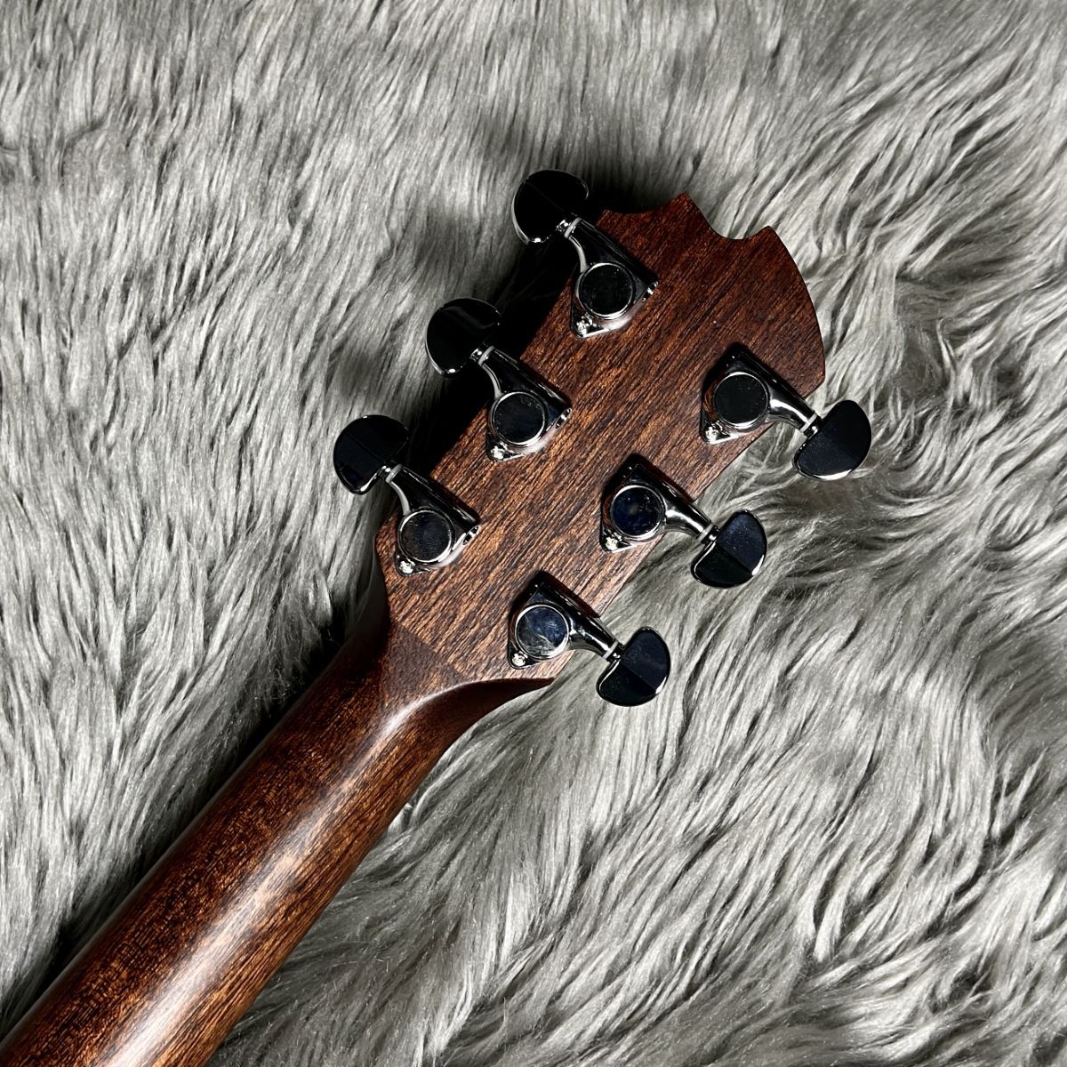 James J-900/C【オール単板！L.R.Baggs PU搭載】（新品/送料無料