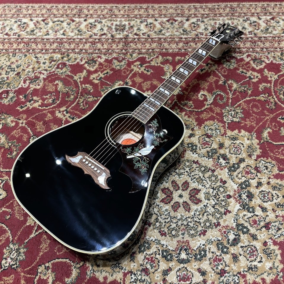 Gibson Dove Original Ebony【現物写真】（新品/送料無料）【楽器検索