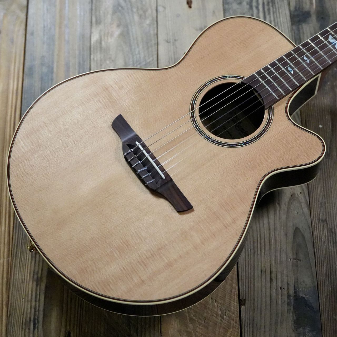 Takamine TSP10NCS エレガットギター ナイロン弦（新品/送料無料