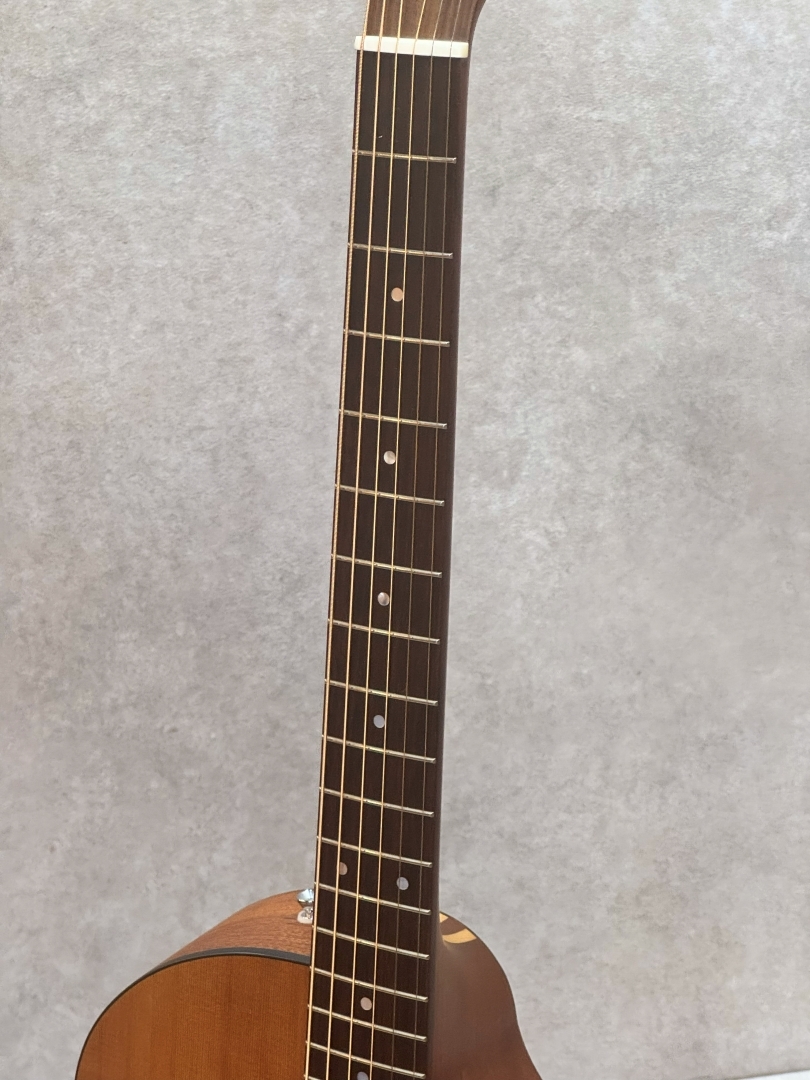 FUJIGEN(FGN) AG1（中古）【楽器検索デジマート】