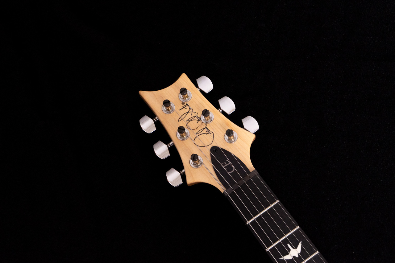 Paul Reed Smith(PRS) CE 24 Semi-Hollow Custom Configuration-LL