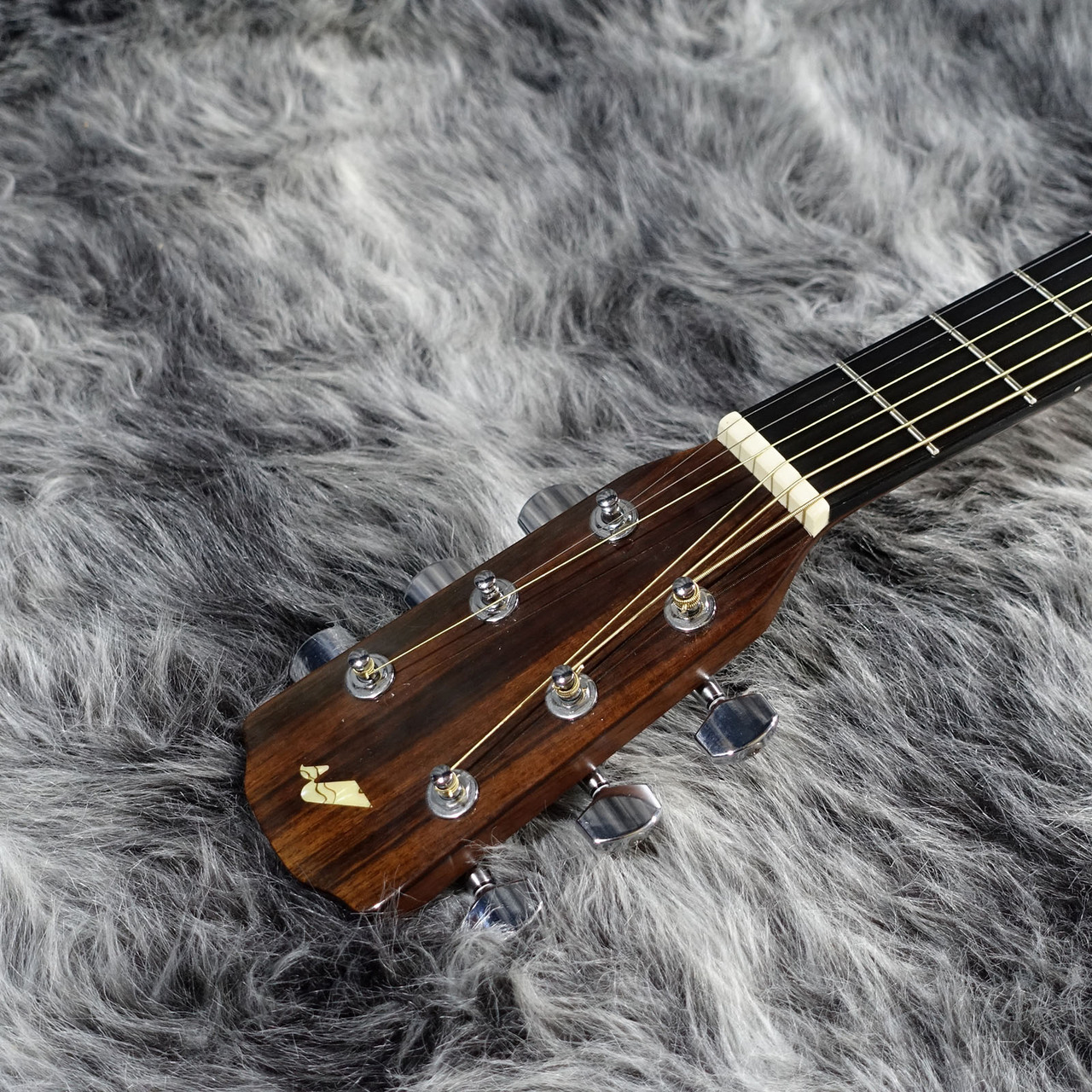 Morris M-LTD（中古/送料無料）【楽器検索デジマート】