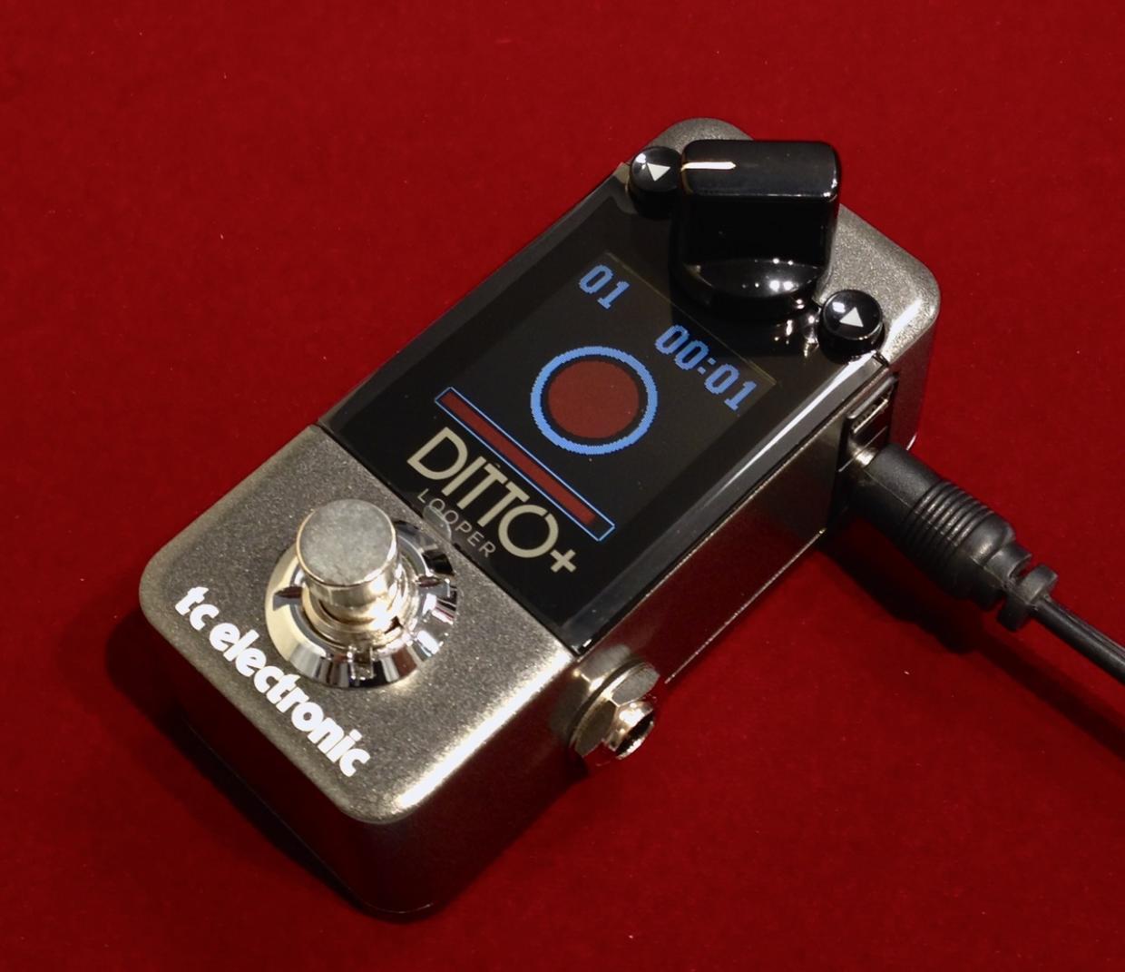 tc electronic DITTO+（新品/送料無料）【楽器検索デジマート】