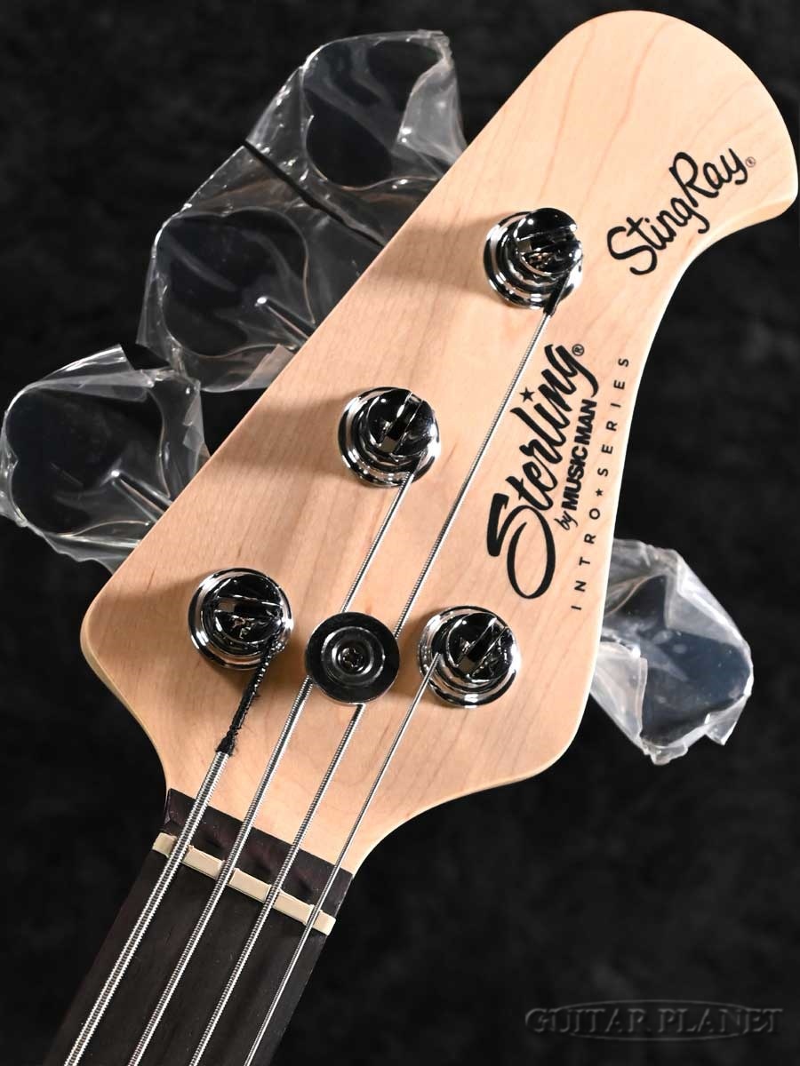 Sterling by MUSIC MAN SUB Intro Series RAY2 -Misty Green