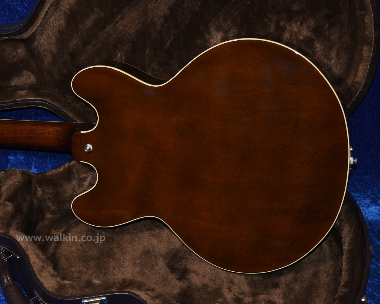 Archtop Tribute AT150D（新品）【楽器検索デジマート】