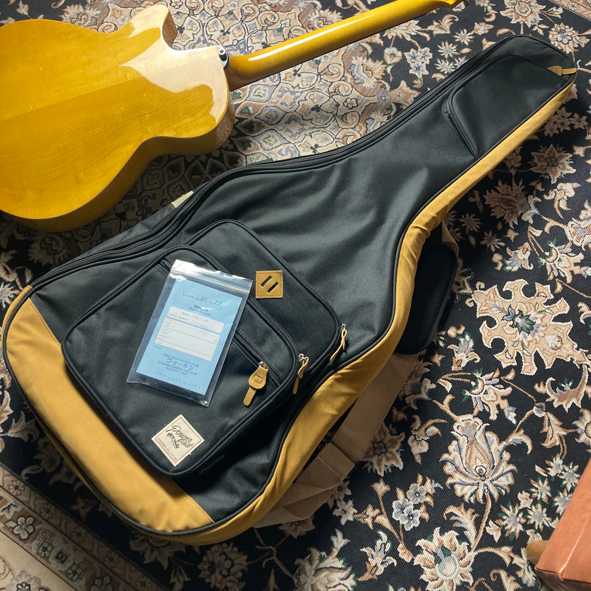 【美品】westville solar ハードケース付 Westville Solar / Light Amber Natural 2024（中古）【楽器検索