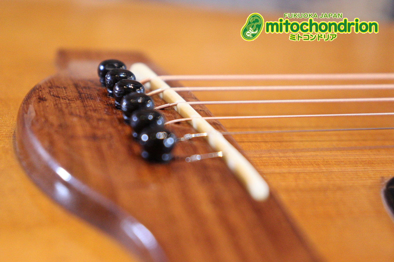 YAMAHA 1966～68年製 FG-180【ライトグリーンラベル