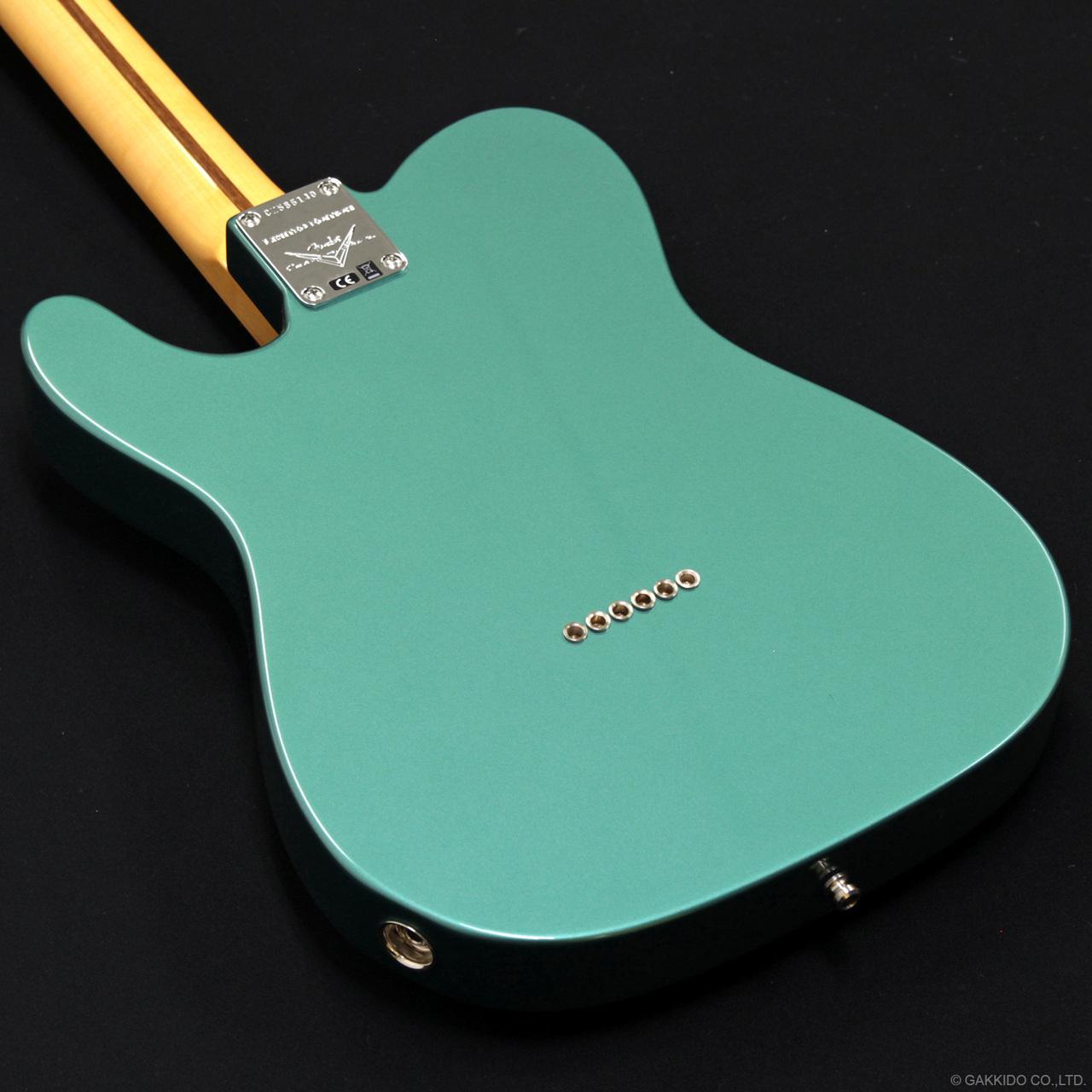 Fender Custom Shop W25 Limited Custom Deluxe Telecaster [Sherwood