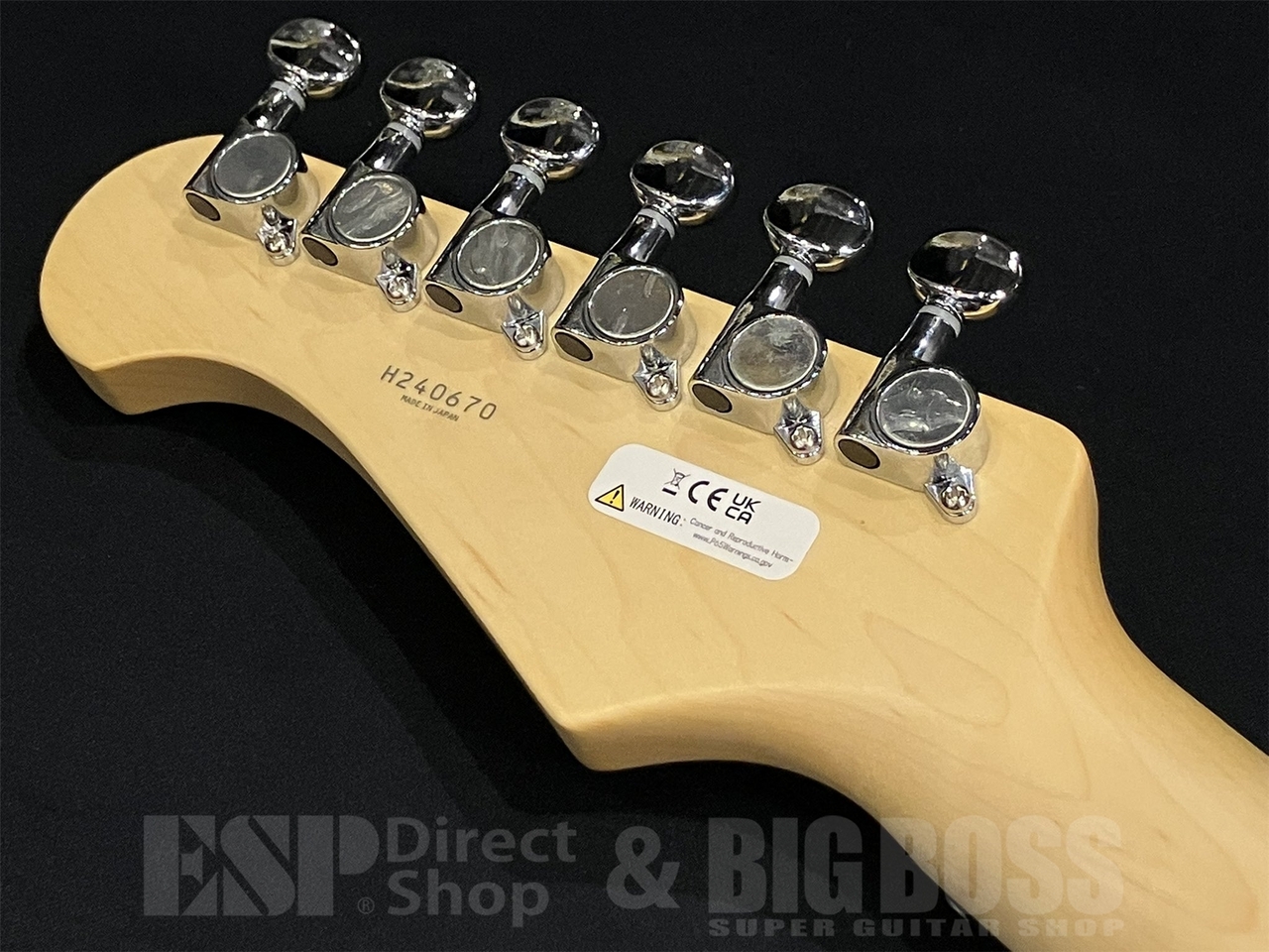 FUJIGEN(FGN) BCTE100RBD / Snow White（新品/送料無料）【楽器